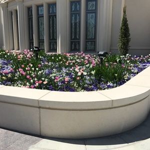 Meet your Posher, Myrtis